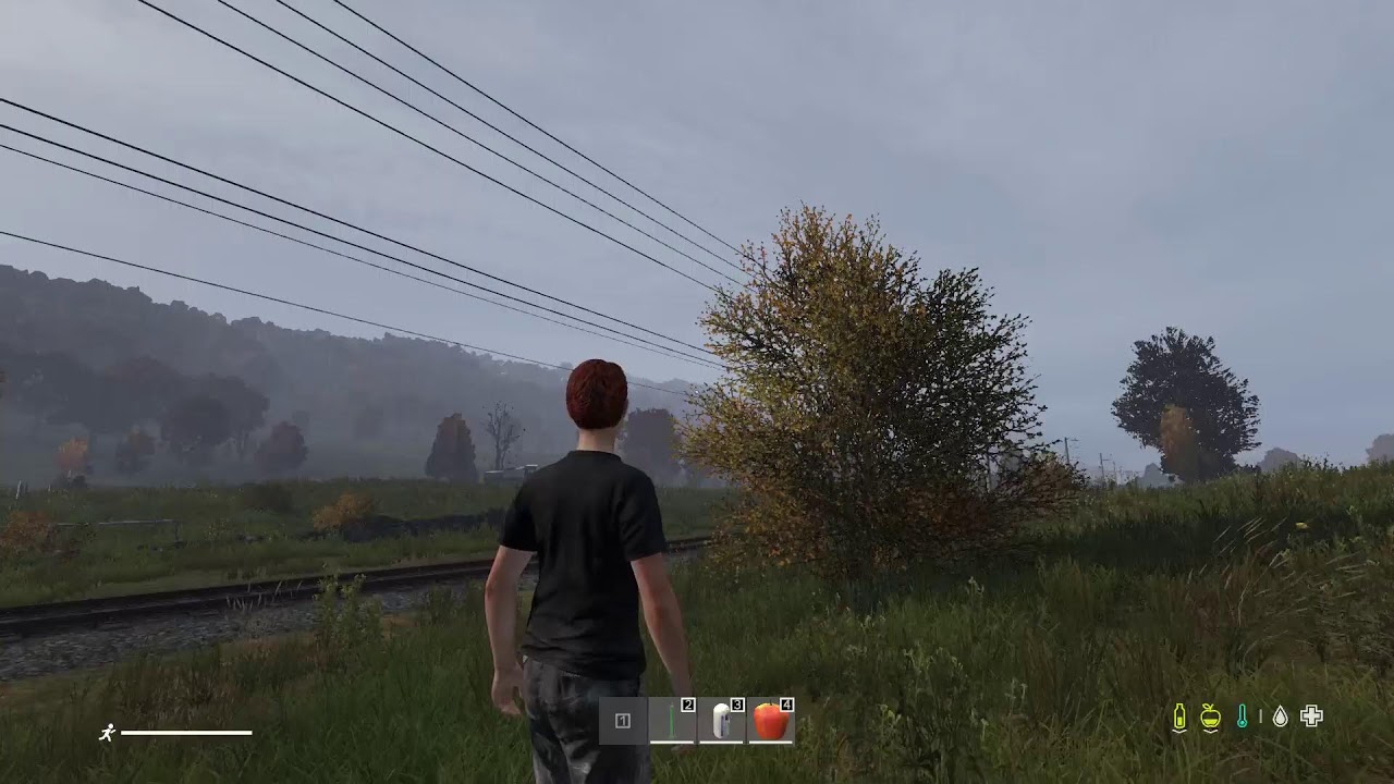dayz day