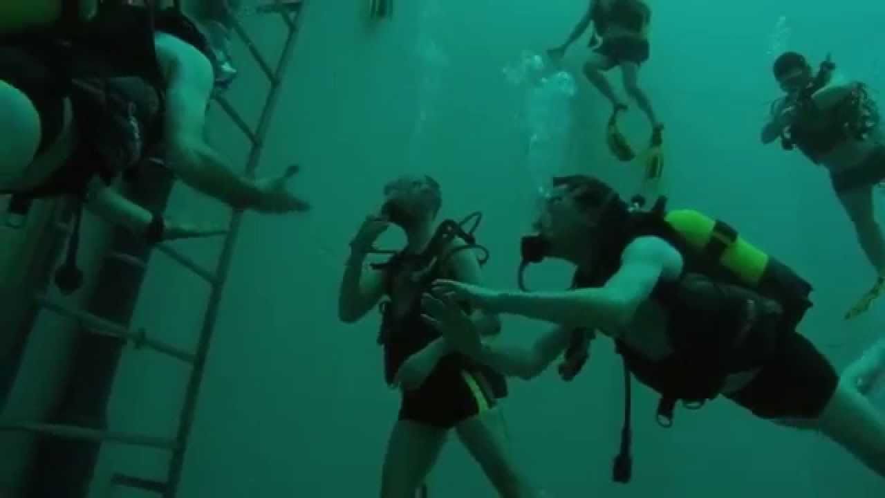 NEMO 33 NIVEAU 1