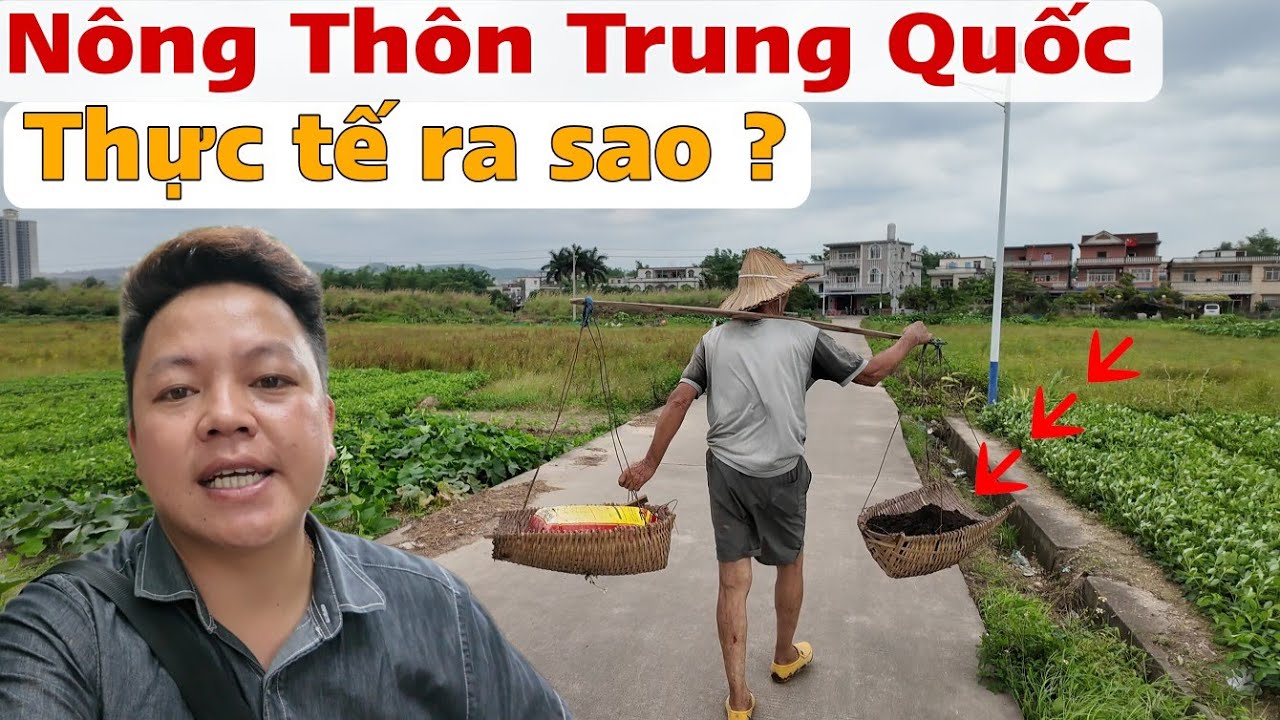 Thăm Nông Trung Quốc Thấy Thực Tế Bên Này Ra Sao ?