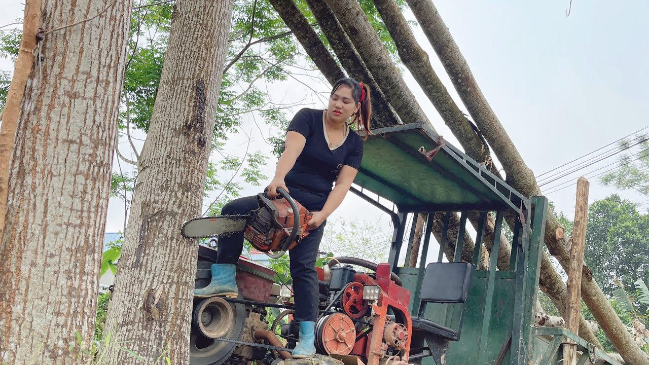 Transport and harvest large volumes of timber alone