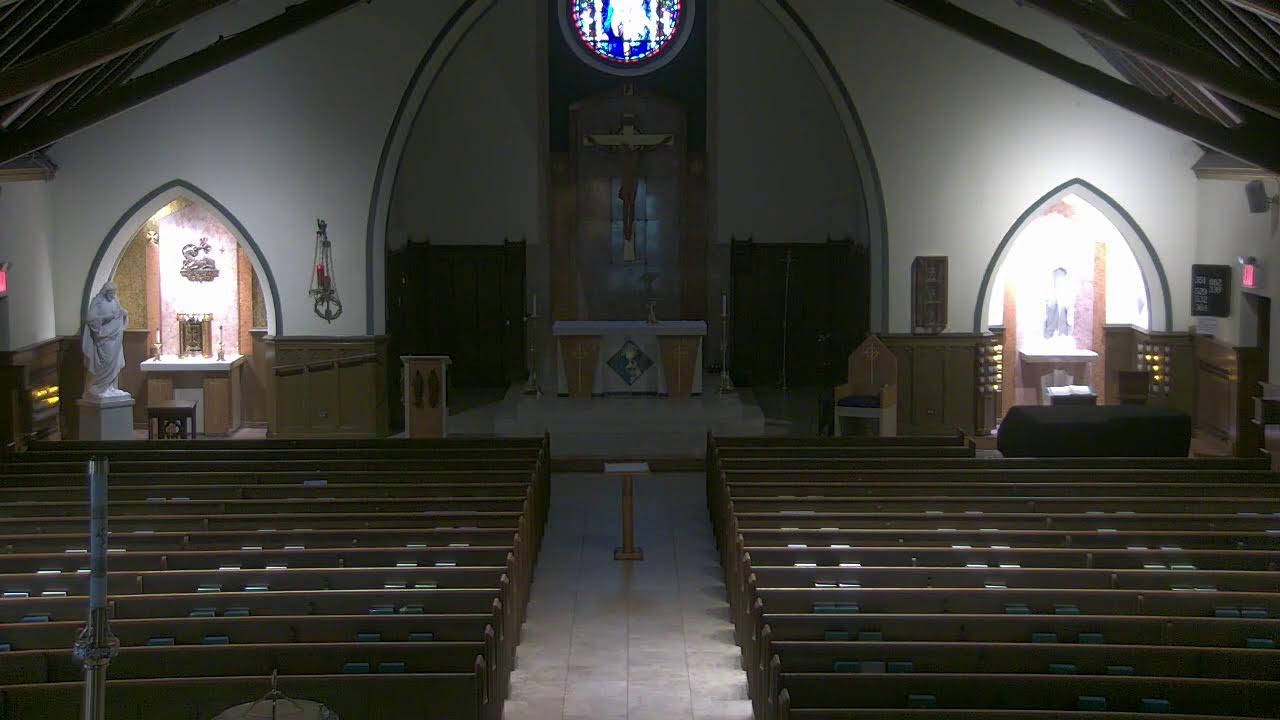 February 19, 2026 Weekday Mass