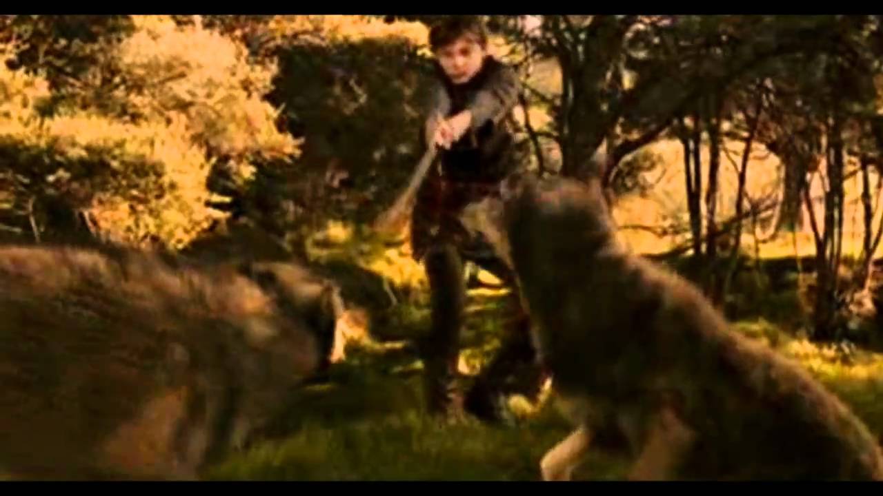 king peter, the magnificent. (the chronicles of narnia)