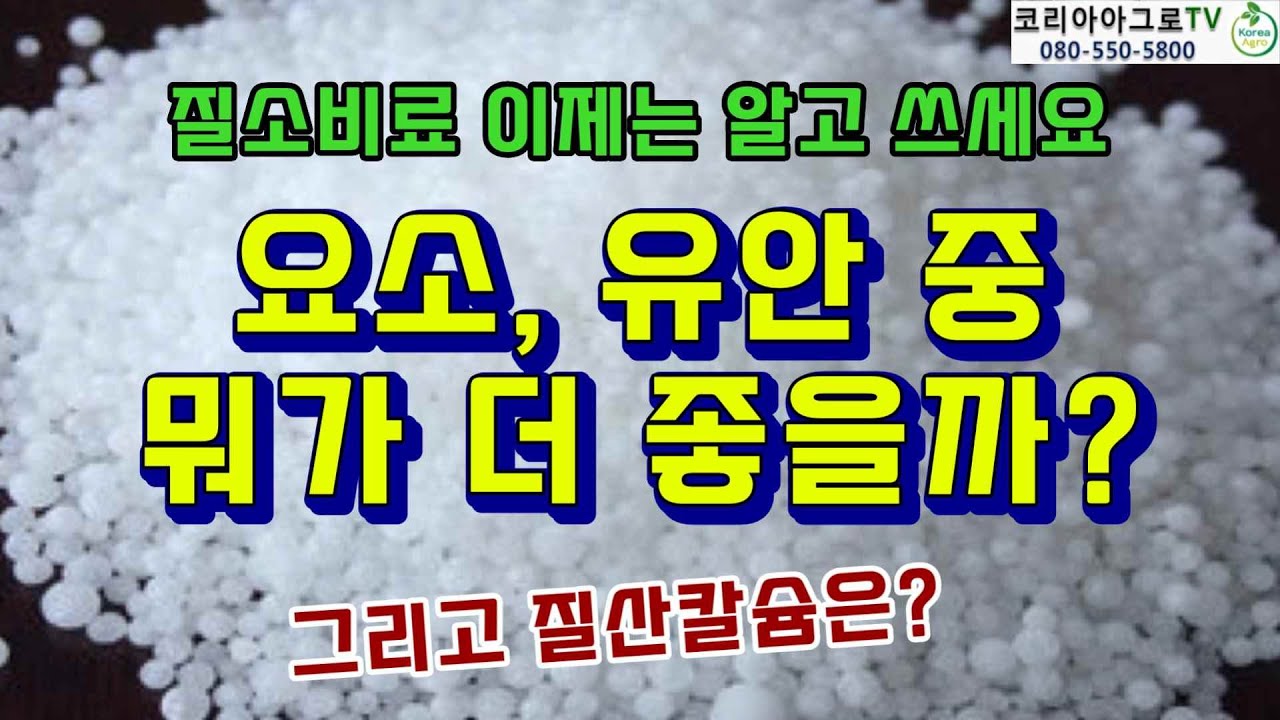 요소, 유안비료 뭐가 더 좋을까? (질소 비료 제대로 사용하기)