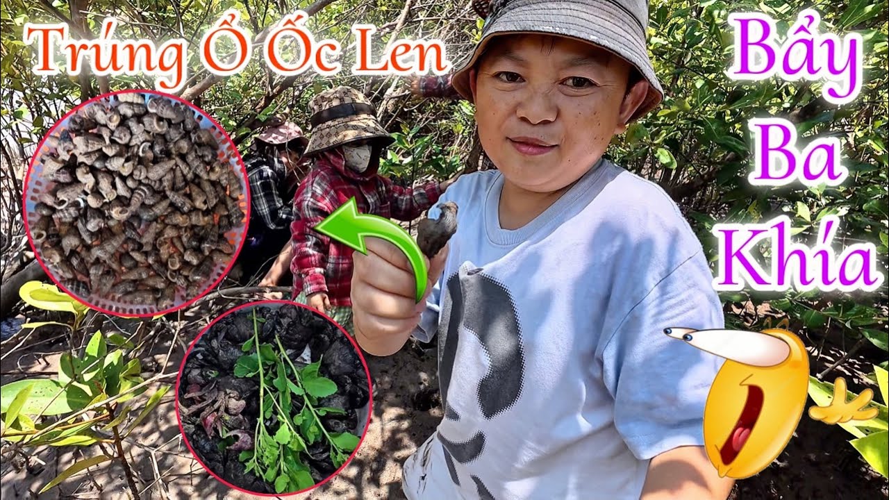 Mấy Anh Em Đi Mua Gặp Đặt Ba Kh&iacute;a Bất Ngờ Tr&uacute;ng M&aacute;nh Ổ Ốc Len || Hải T&iacute; Hon