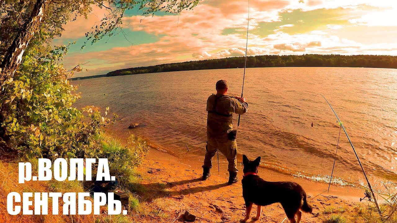 Рыбалка на Волге.  3 Дня на Реке. Поехали с Больничкой на Волгу за Лещом и от Волги 