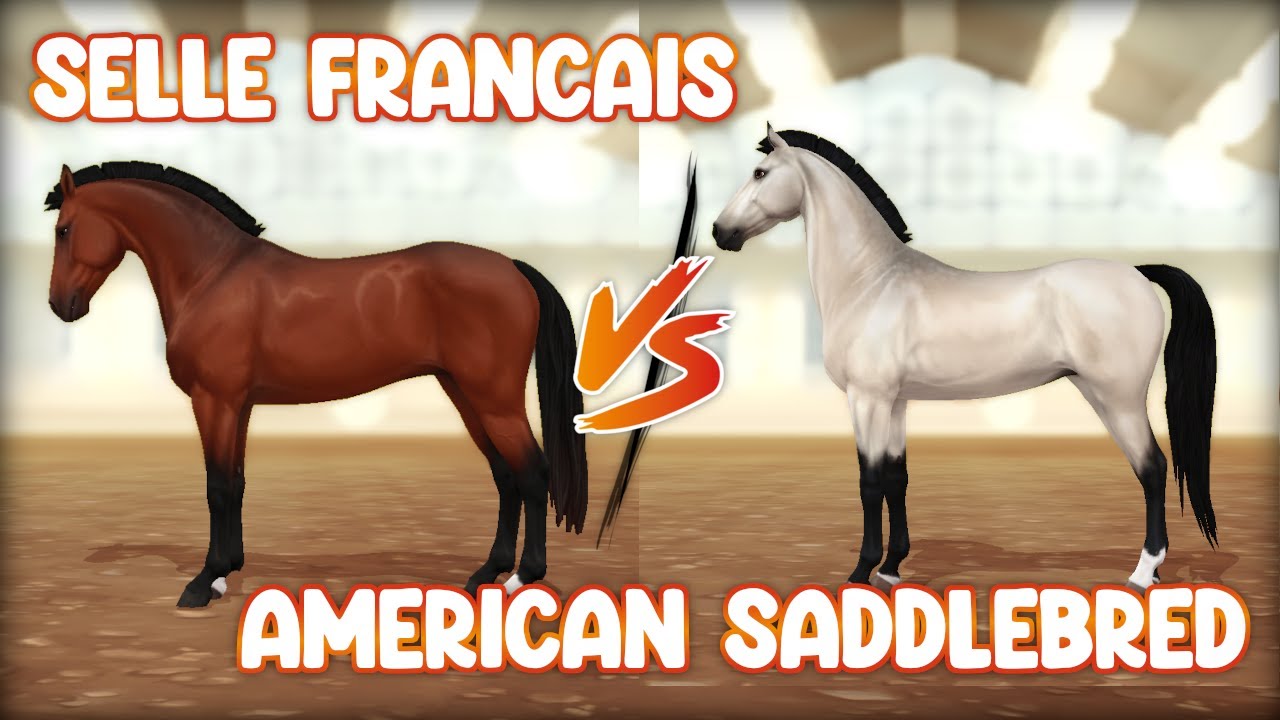 American Saddlebred VS Selle Francais 😍😫 ANIMATIONS - Blackmoon Stable