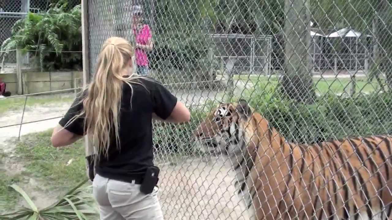 Genevieve Peterson - McCarthy's Wildlife Sanctuary