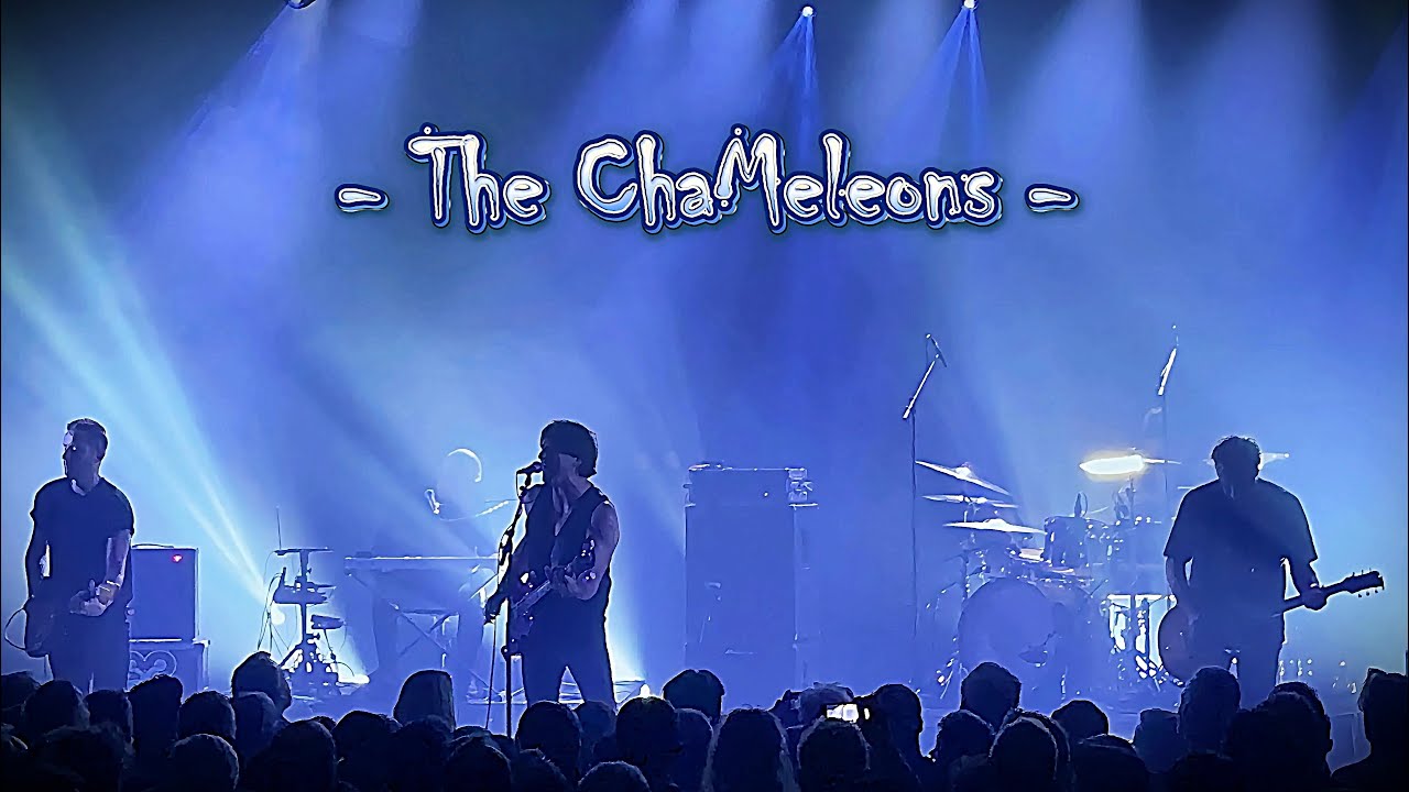 The ChaMeleons @ Feyzin / L'Epicerie Moderne - 19.09.2024 (...4k full ShoW...)