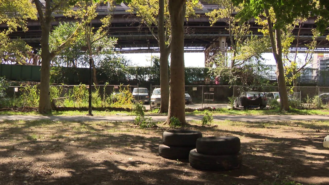 'That&rsquo;s guerrilla gardening': Queens residents give up waiting for NYCHA permission