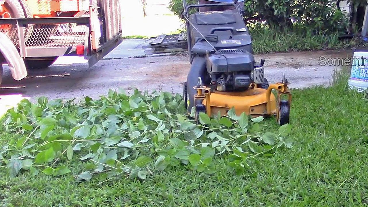 Lawn mower ASMR #1 - Cub Cadet SRC 621 mowing up trimmings - Satisfying!!