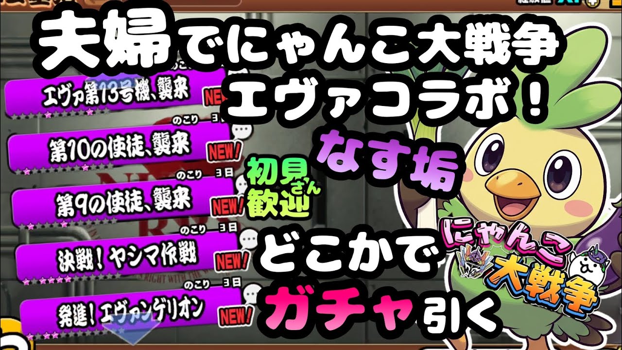 エヴァコラボイベント　【初見さん大歓迎】夫婦実況+リアルにゃんこでまったりにゃんこ大戦争・雑談🐾ライブ配信#118 #にゃんこ大戦争 #縦型配信 #ライブ配信 #shorts #shorts #初見