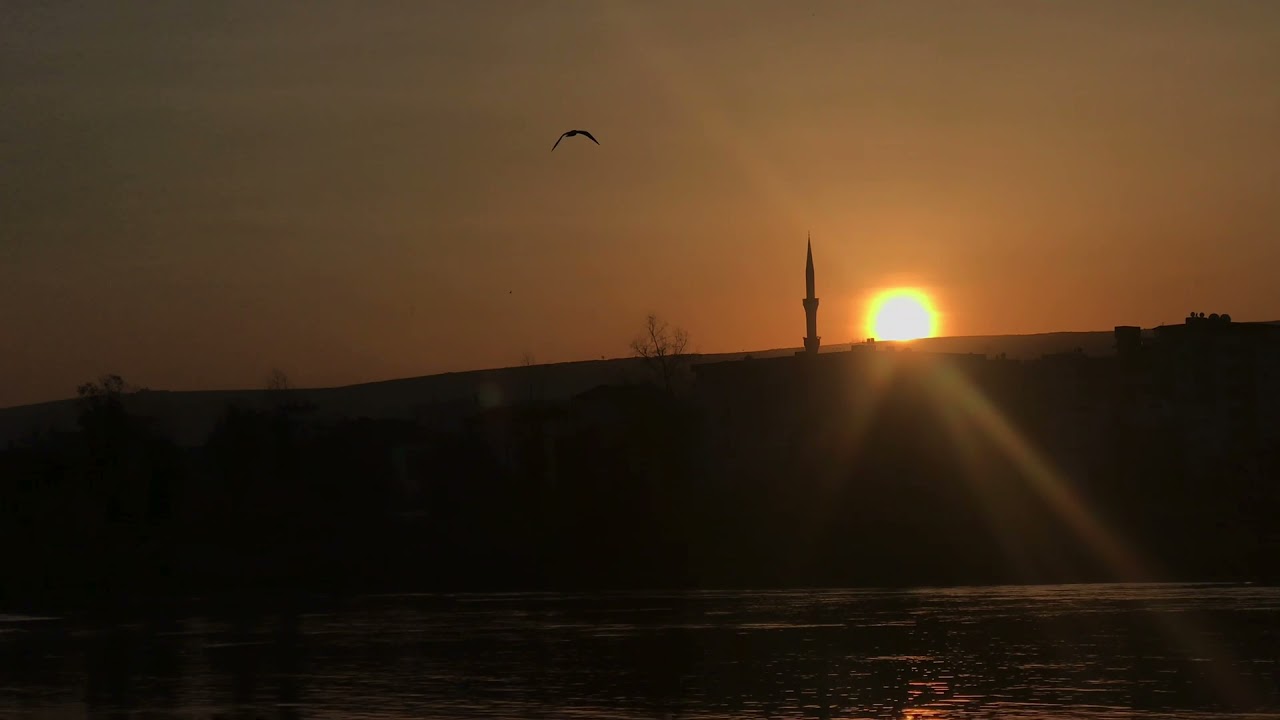 Ömer ayhan -besta beleka (akustik)