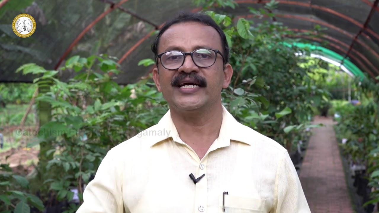 DOMUSCAT | CLASS 11 | CHAPTER 12 | PART 1 | ERNAKULAM-ANGAMALY ARCHDIOCESE | SUNDAY SCHOOL CATECHISM