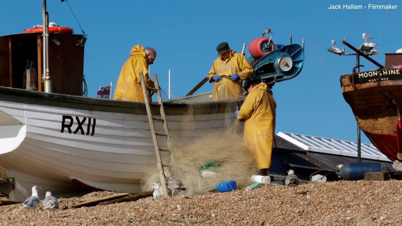 Fresh Thinking on Fishing | Chris Williams | TEDxTruro