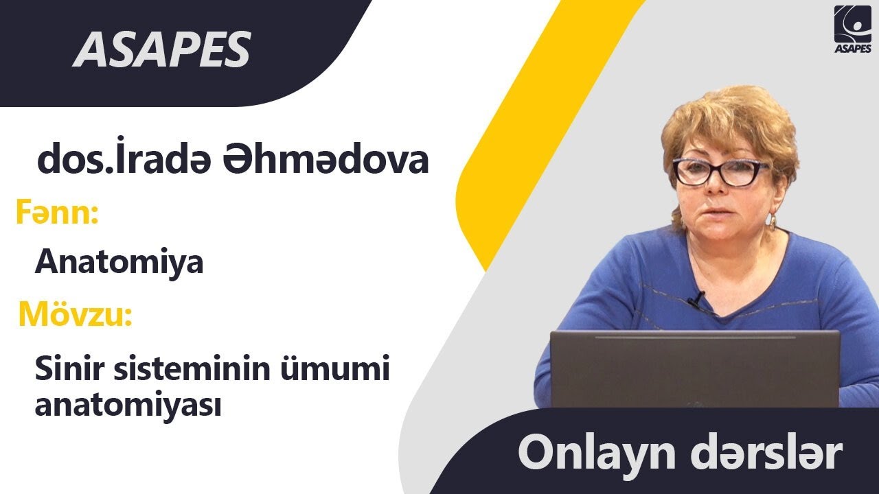 ONLAYN DƏRSLƏR | Anatomiya - Sinir sisteminin ümumi anatomiyası