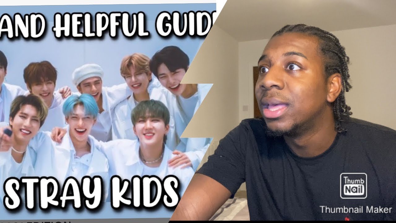 Quick And Helpful Guide To Stray Kids (Reaction)