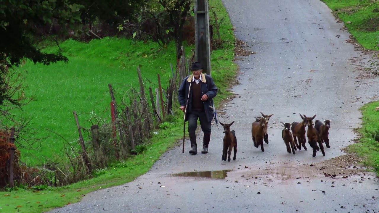Outono enevoado... - Penha Garcia, 15/11/2020