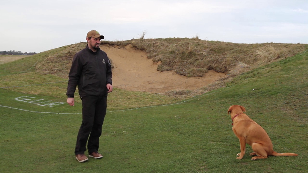 Royal Cinque Ports Golf Club 9th Bunker Renovation
