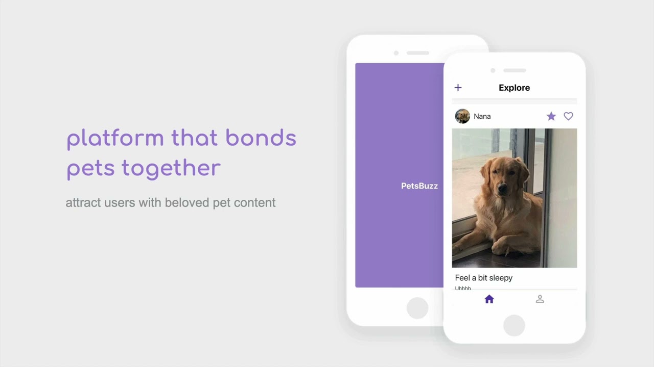 PetsBuzz Final Version