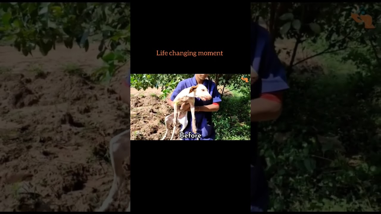 Lower jaw broken & was in serious pain suffered a lot to eat got his life changing moment #shorts