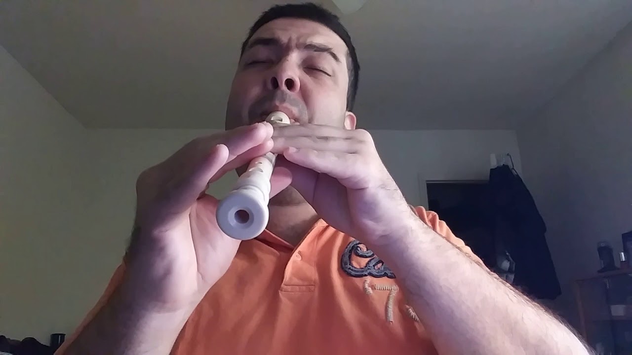 Guns'n'Roses - Sweet Child o Mine flute cover (recorder) na flauta doce