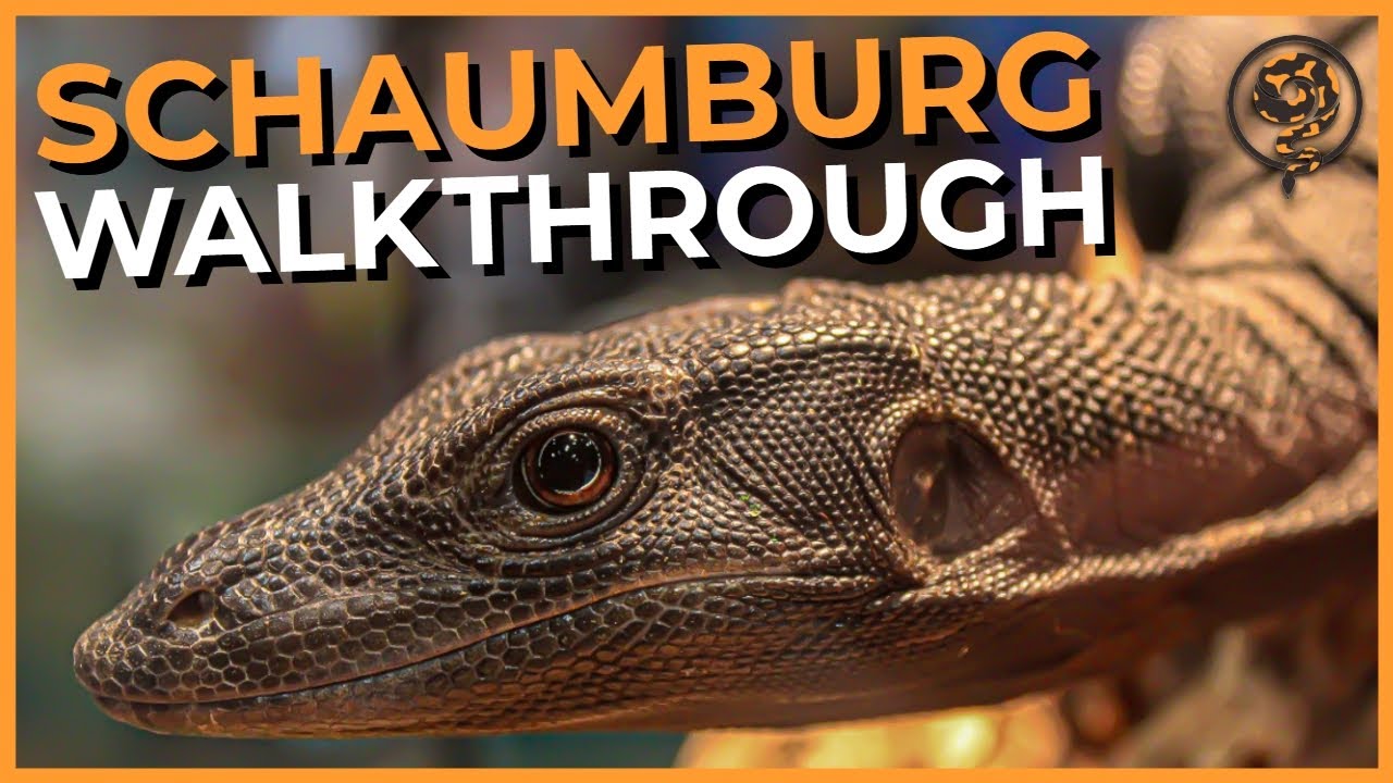 NARBC 2023 Schaumburg Complete Walkthrough!!!