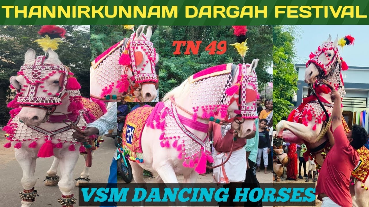 #VSMHORSE,#DARGAH FESTIVAL, #FOR ENQUIRY: 8870310135.#dargah #koothanallur #tkm #chennai #bangalore 