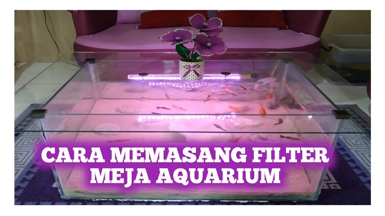 Cara memasang filter meja aquarium