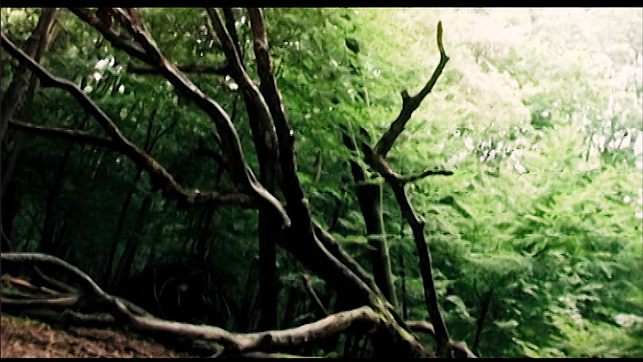 TRANSFORMA // Synken Trailer 1