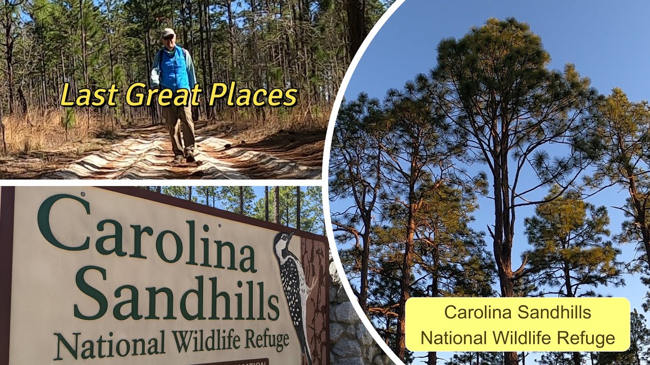 Carolina Sandhills National Wildlife Refuge - Last Great Places