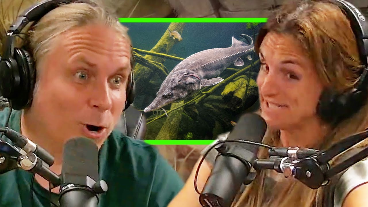 The Barczyk’s Talk Future FreshWater Fish!!