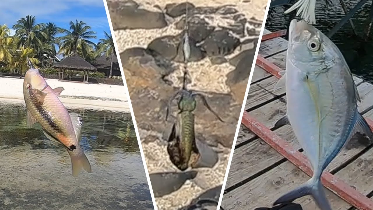 Ep#9- Winter Shore Fishing for Squid and other species.. Fishing in Mauritius