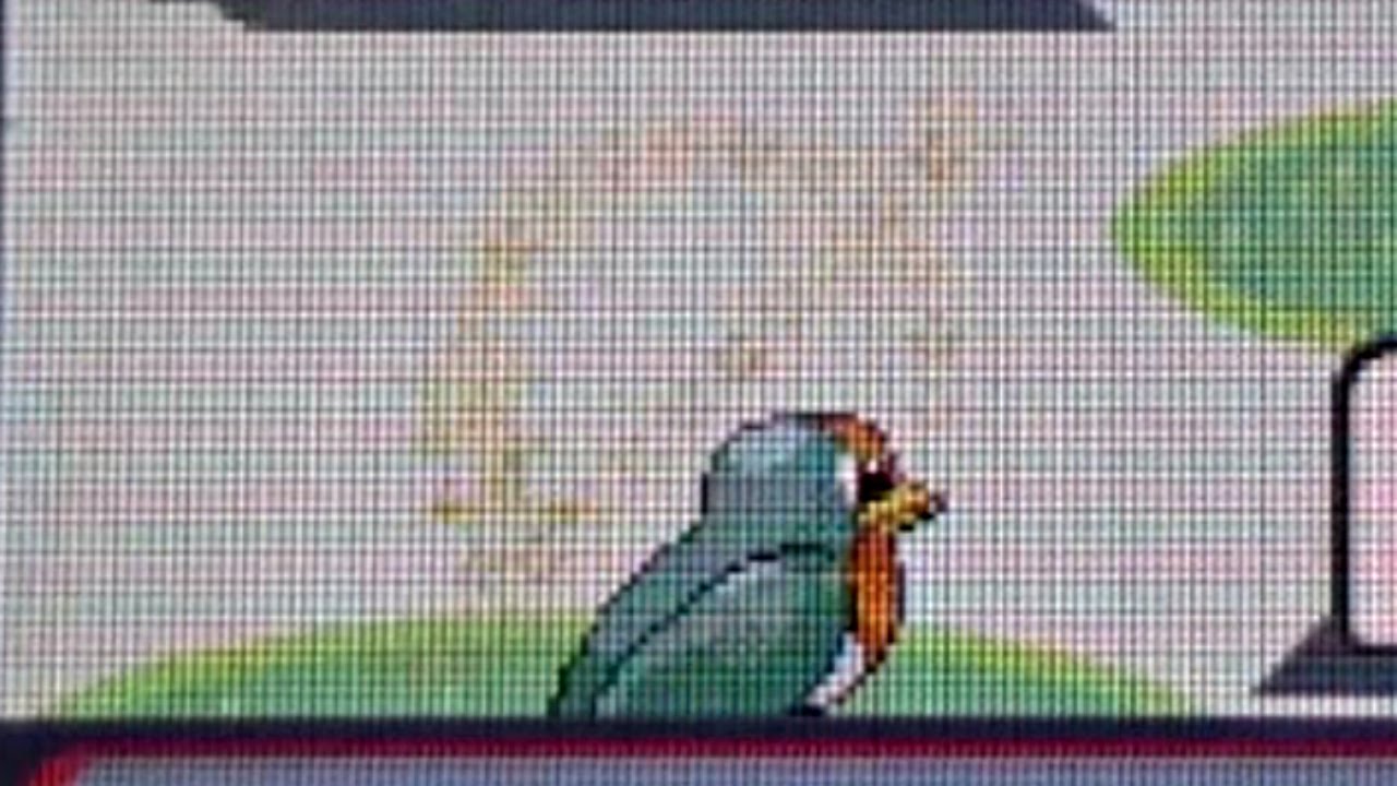 Shiny Taillow! (Live Reaction) After 516 RE's! Pokemon Ruby