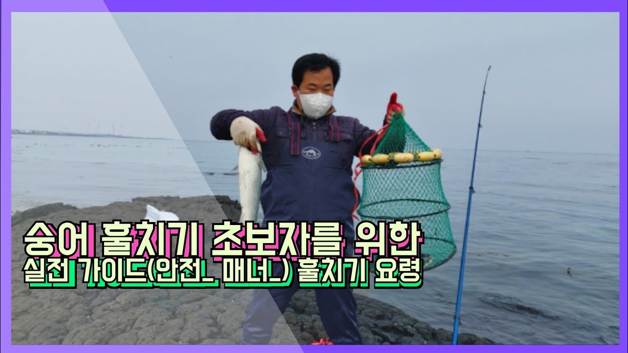 숭어 훌치기 초보자를 위한 실전 가이드(겨울_회|숭어_회|겨울회|낚시|숭어낚시|해변낚시|)