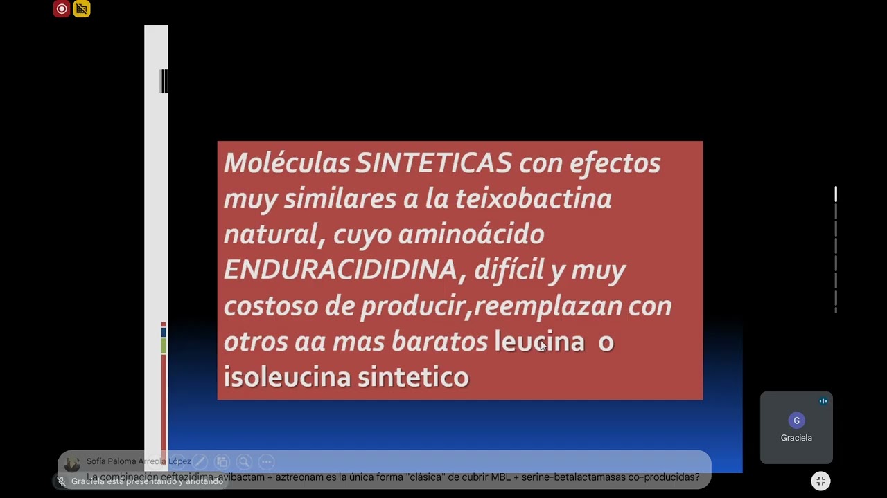 SEMANA 2_1 MECANISMOS DE GRAM NEGATIVO