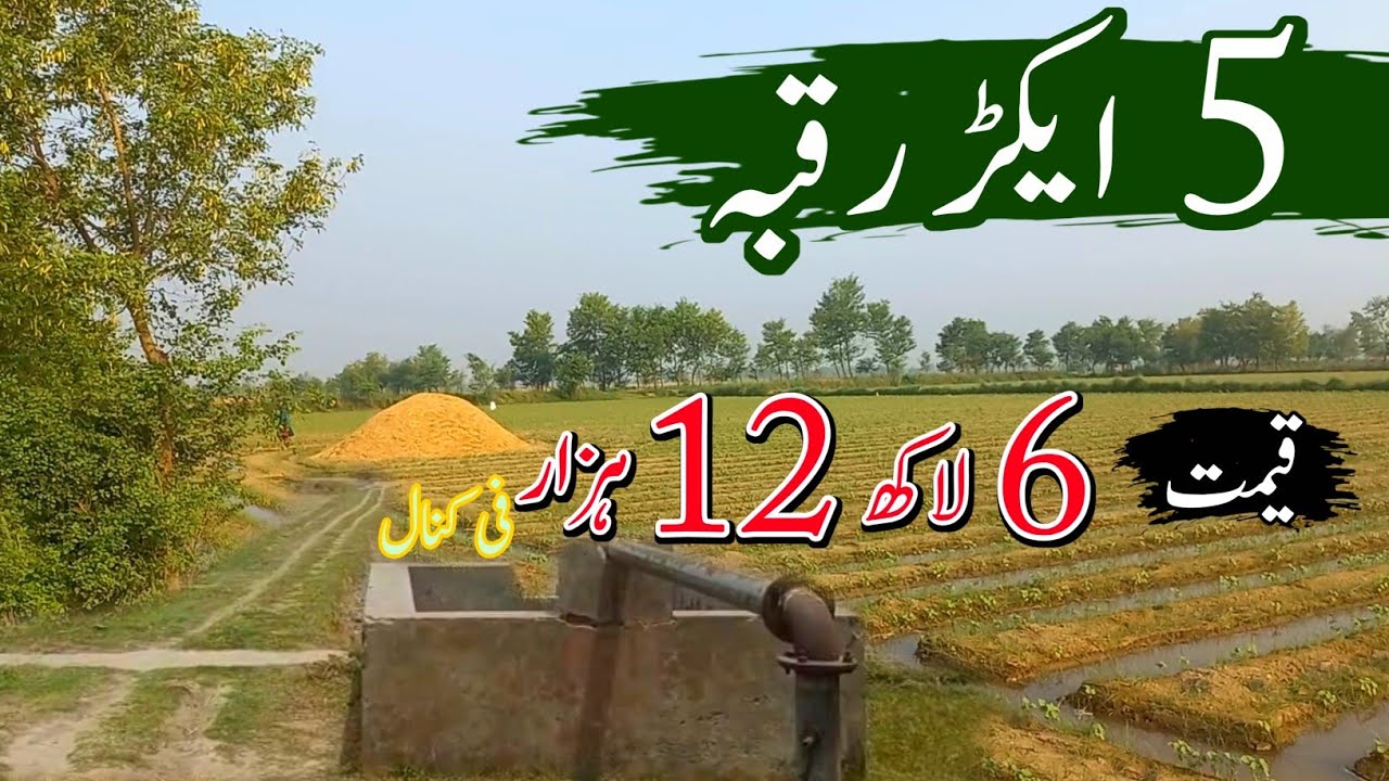 5 Acres Zameen for Sale | Agricultural Land Investment in Punjab Pakistan | Episode 161
