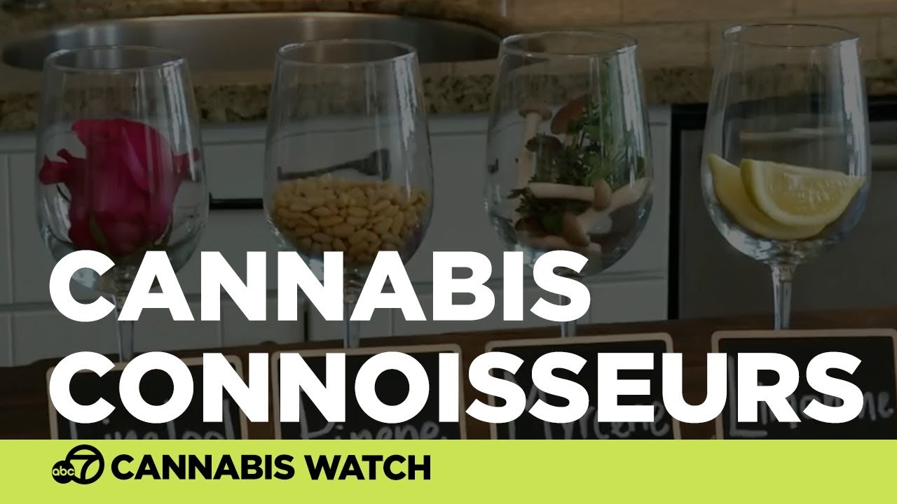 Cannabis connoisseurs pairing wine with weed