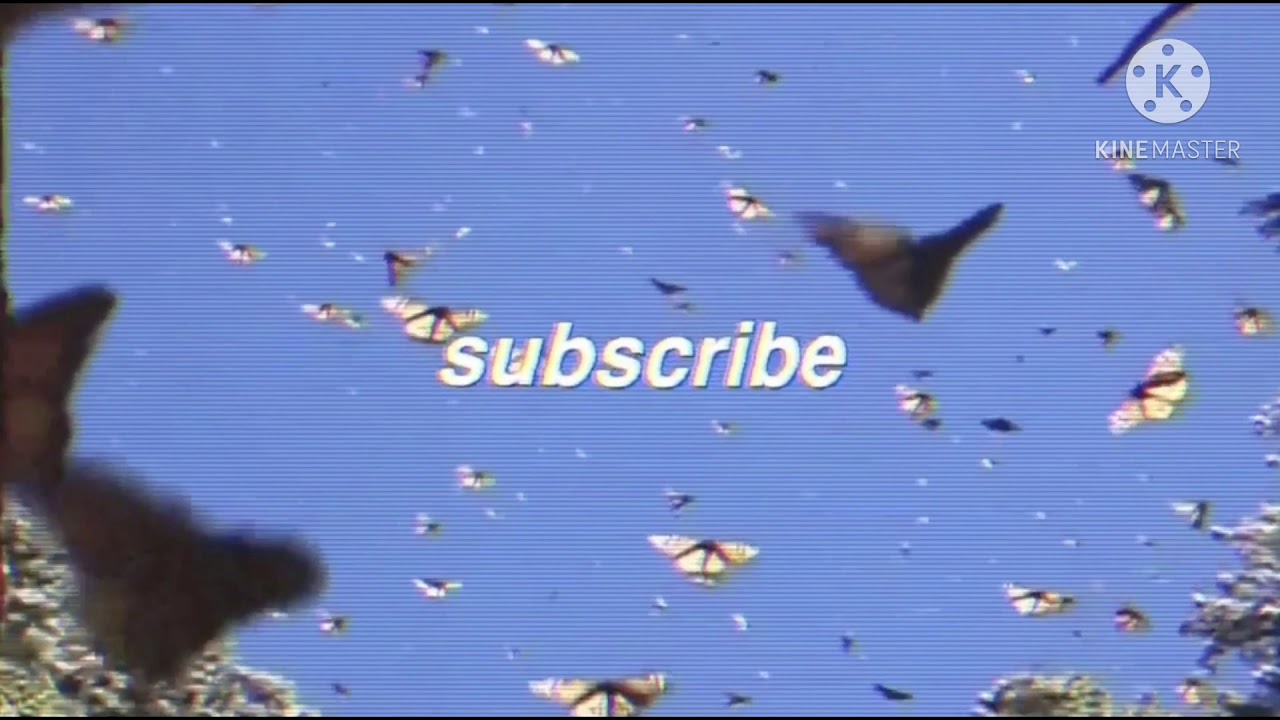 Vinheta aesthetic