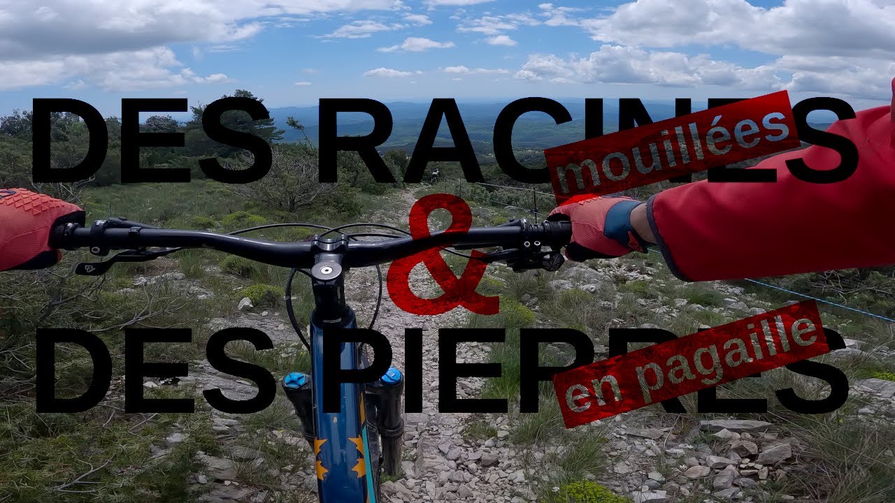 Des racines et des pierres à Mons (83)