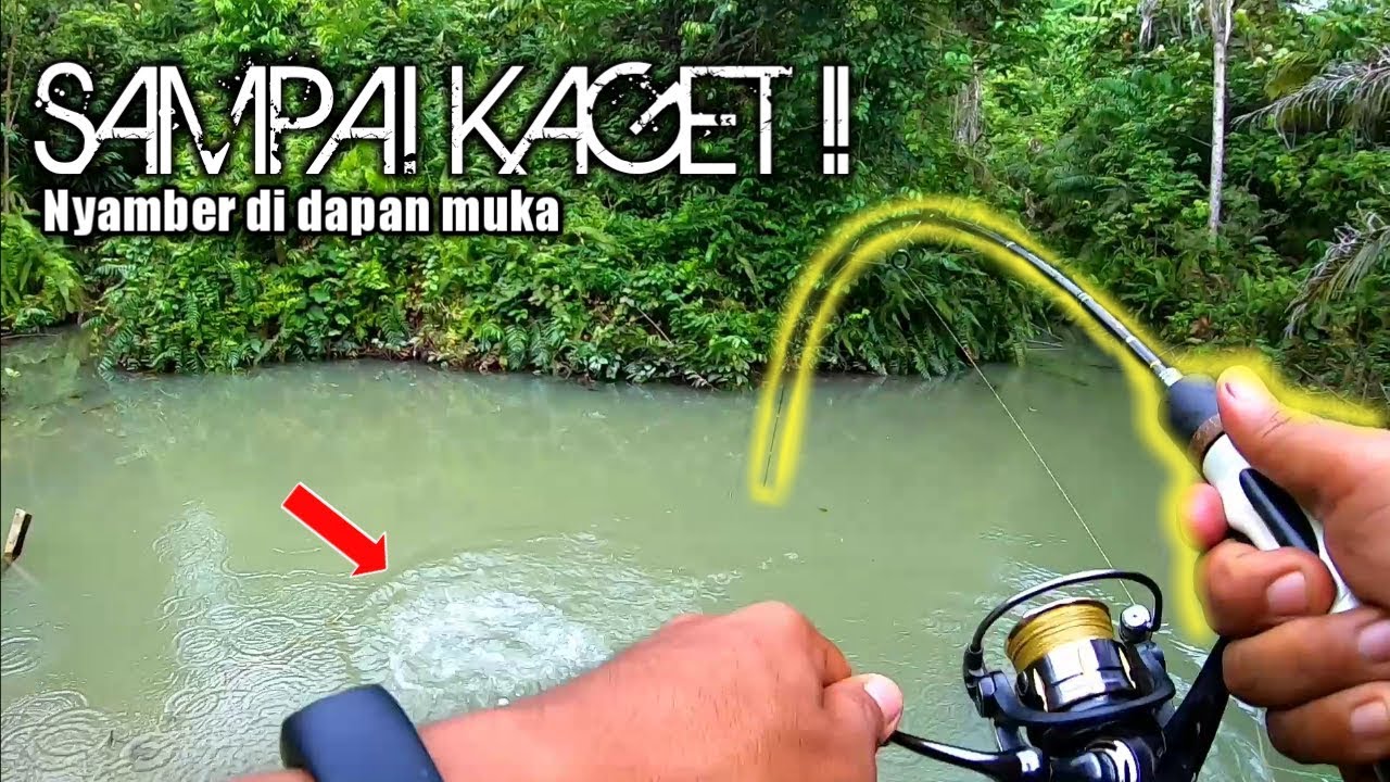 MEMANCING IKAN DI HUTAN KONSERVASI PERKEBUNAN || Reynold sb 13/06/19