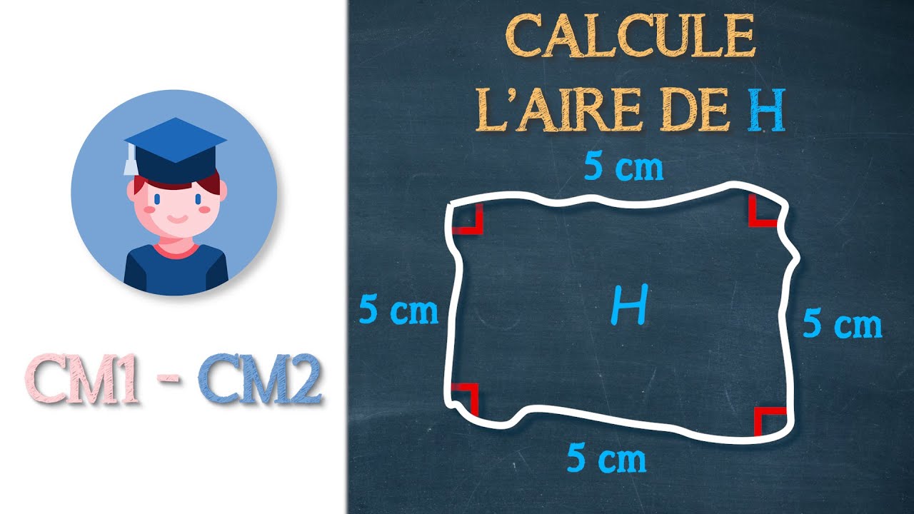 Quelle est l'aire de ce polygone ? - CM1 CM2 - Petits Savants