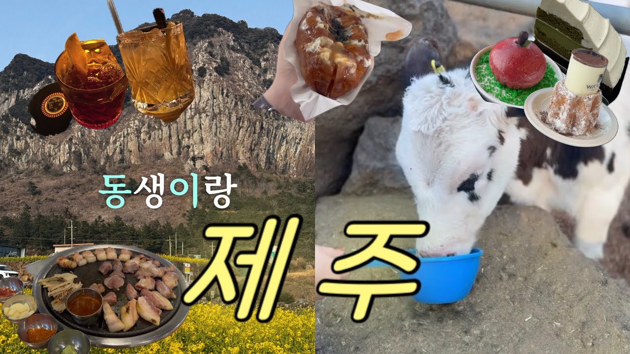 동생이랑 제주도 여행🌼 이대로만 가면 성공하는 코스🔥 제주도소품샵.유채꽃명소.제주흑돼지.칵테일바.갈치구이.픽업카페.명란소금빵
