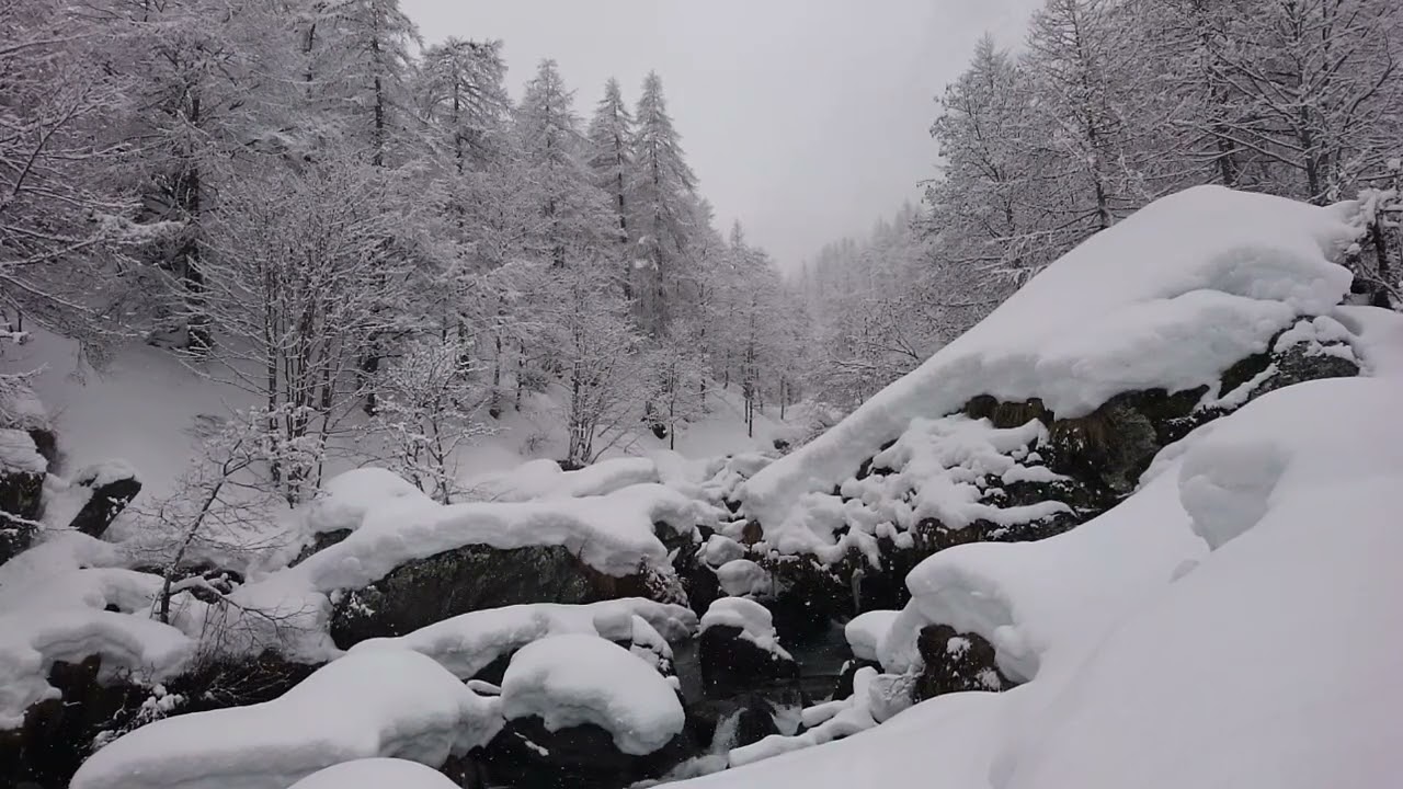 Winter in Piedmont, Turin, Italy, Snowfall , Peaceful Snowing, Snow Falling,  Relaxing Winter Video