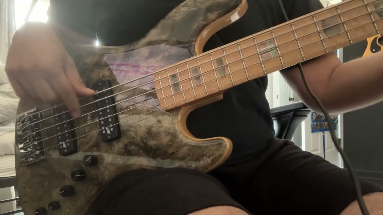 USA Spector CODA Deluxe 5