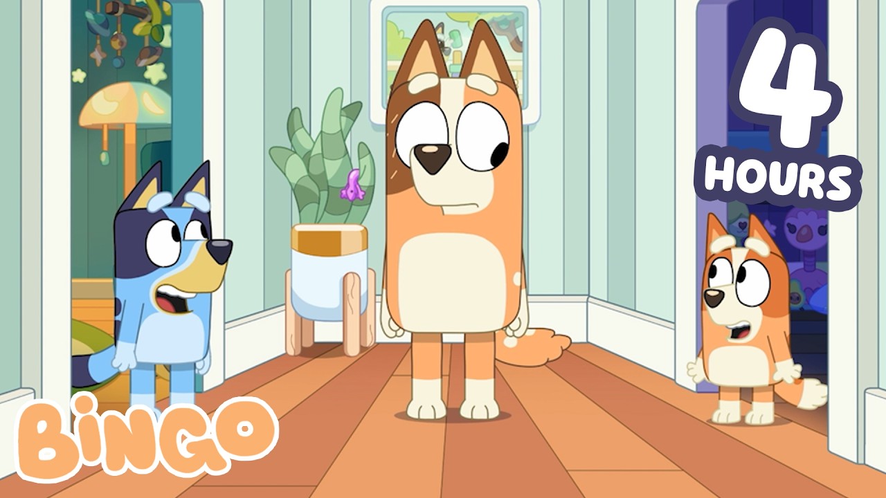 🔴 LIVE: Bingo And Bluey Are Moving Rooms! 🧡💙 | Staying Up Late For 4 Hours! | Bingo - Official