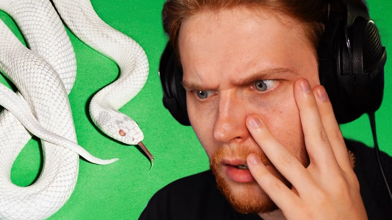 Deftones 'private music' is a HYPNOTIZING album... (Album Reaction)