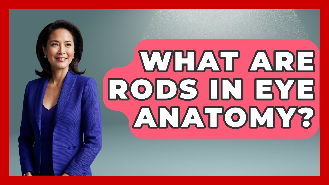 What Are Rods In Eye Anatomy? - All About Anatomy Answers