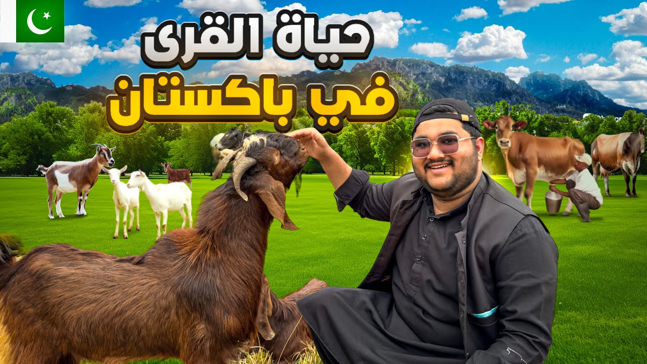 الحياة الريفية في باكستان | Village life in Pakistan 🇵🇰
