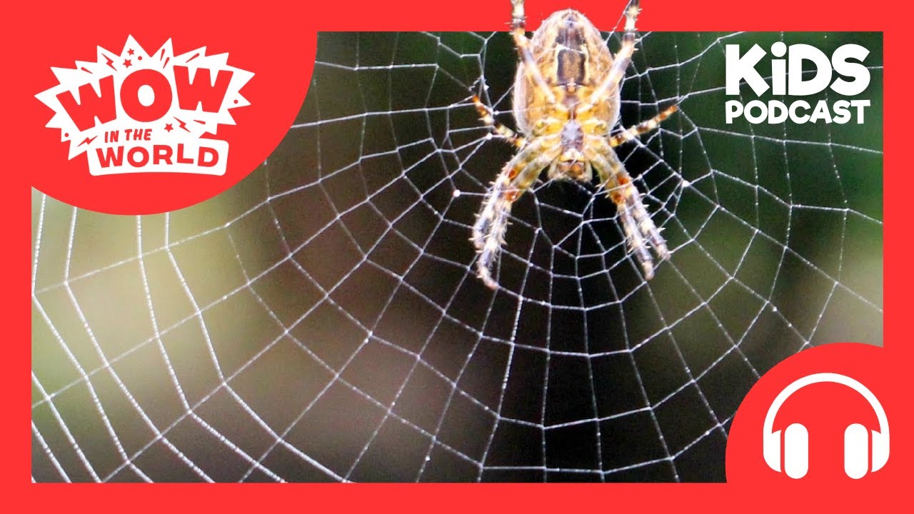 Can Spider Silk Save the Planet?! | Wow in the World | Podcast for Kids | Tinkercast