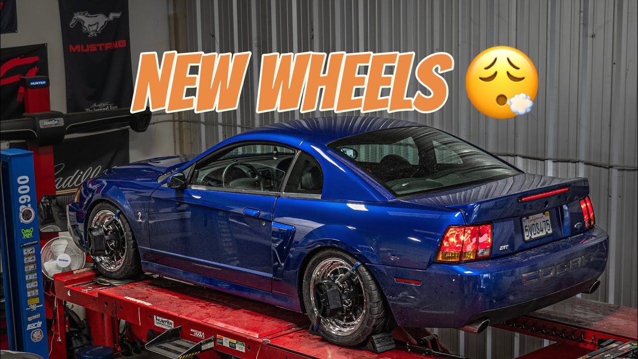 2003 Cobra gets new wheels!